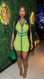 Netting 2 Way Zipper Mini Dress